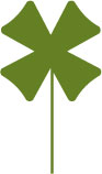 Augenwiese Augenwiese